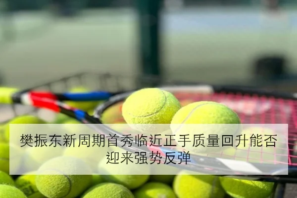樊振东新周期首秀临近正手质量回升能否迎来强势反弹