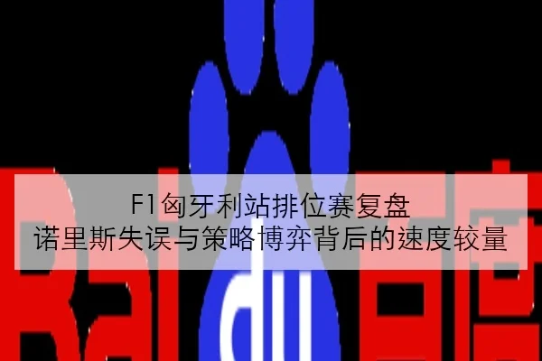 F1匈牙利站排位赛复盘 诺里斯失误与策略博弈背后的速度较量